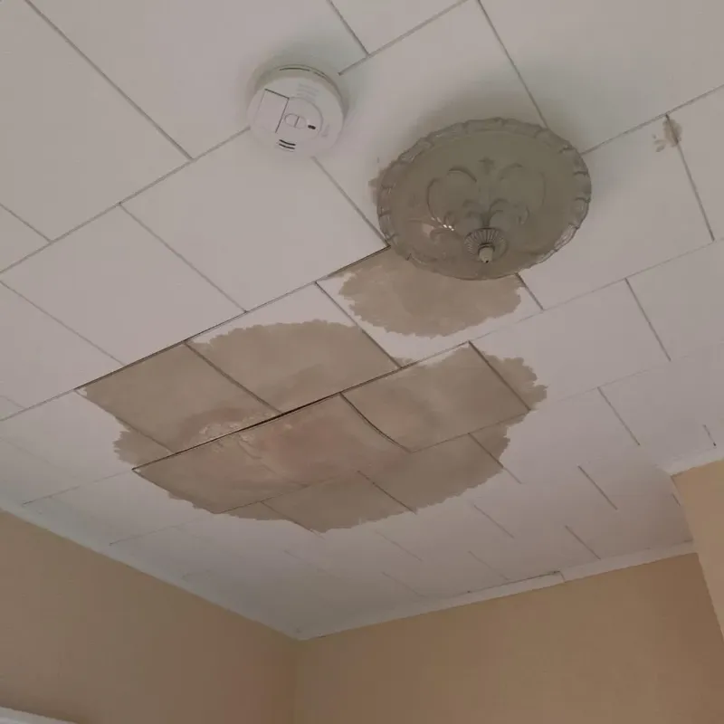 Ceiling Water Damage Repair in Waverly, OH