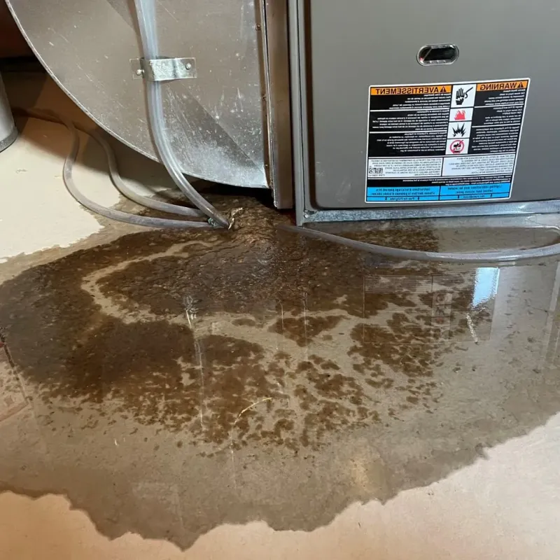 Pipe Burst and Leak Restoration in Waverly, OH