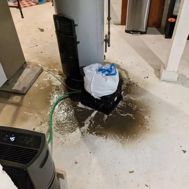 Sewage Backup Cleanup Service in Waverly, OH